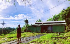 太平上美開心大景觀贈厝地