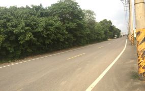 琪琪🐝推~近台31線富岡大腹地挑高廠