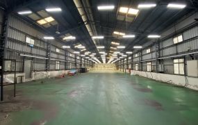 樹林工業區/挑高8米/鋼構廠房(可廠登) &bull;   新北市廠房買賣/工業地/建地/徵收農地/廠房出租