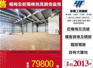 楊梅全新獨棟挑高鋼骨廠房