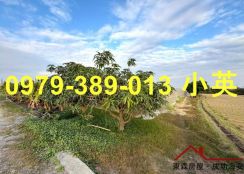 獨賣 路竹交流道大面寬農地