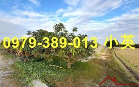 獨賣 路竹交流道大面寬農地