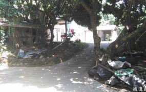 太平夢想成真自己農地