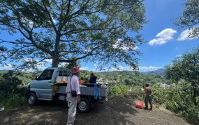 霧峰近公車學校景觀投資地