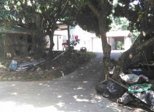 太平夢想成真自己農地