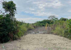 大內區 -  大內近庄內12米路都內小農地 - 368萬