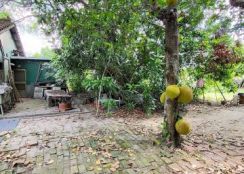 鹽水區  - 鹽水區近仁光國小建地 - 200萬