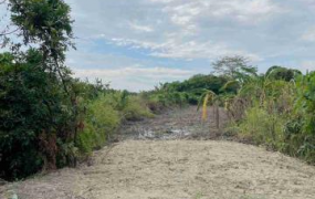 大內區 -  大內近庄內12米路都內小農地 - 368萬