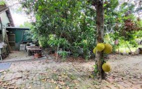 鹽水區  - 鹽水區近仁光國小建地 - 200萬