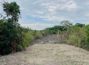 大內區 -  大內近庄內12米路都內小農地 - 368萬