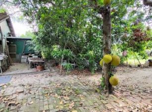 鹽水區  - 鹽水區近仁光國小建地 - 200萬