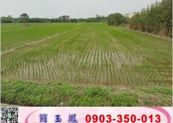 觀音工業區旁千坪交通用地/工業地廠房買賣租賃