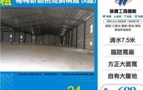 楊梅新穎挑高鋼構廠