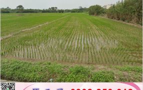 觀音工業區旁千坪交通用地/工業地廠房買賣租賃