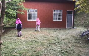 太平近頭汴國小合法厝農地