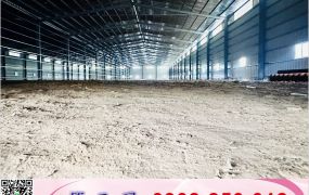 大園近61挑高鋼構廠房/工業地廠房買賣租賃