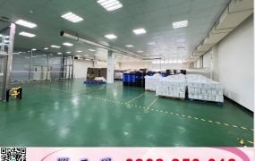 八德門面氣派有腹地廠房/工業地廠房買賣租賃