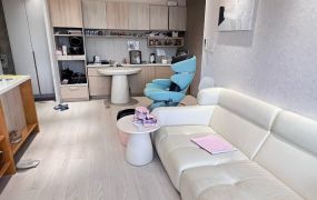 青埔機捷A17雲詠書法公園兩房車