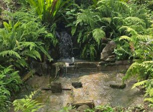 新竹縣北埔｜大湖｜臨路小農園｜休閒屋｜土地286坪｜售價680萬