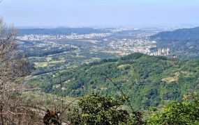 新竹縣橫山｜油羅｜杉木林園｜超美景觀地｜3588坪｜998萬