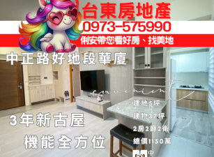 台東房地產 / 中正路好地段華廈
