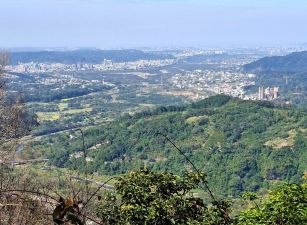 新竹縣橫山｜油羅｜杉木林園｜超美景觀地｜3588坪｜998萬