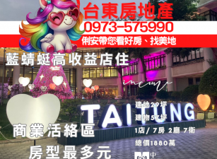 台東房地產 / 藍蜻蜓高收益店住