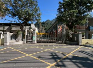 竹東近上坪老街小坪數杉木園