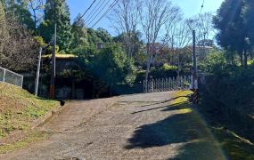 橫山油羅杉木景觀休閒地