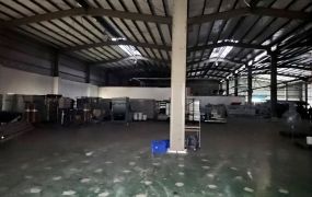 近南崁交流道可廠登挑高鋼骨廠房[單層1356坪12米路]