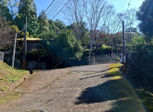 橫山油羅杉木景觀休閒地