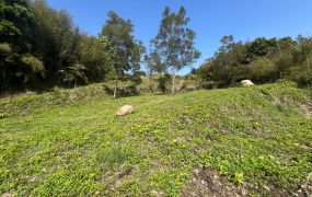 新社雙翠水壩公車養生寶地