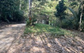 鹿谷近仁愛路公車便宜土地