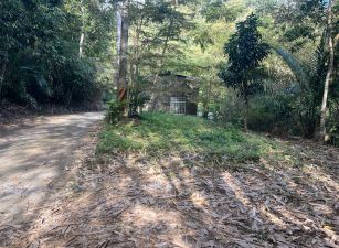 鹿谷近仁愛路公車便宜土地