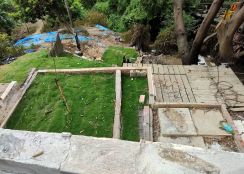 新埔臨路小農地