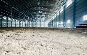 ★★★★★大園近61挑高鋼構廠房★★★★★