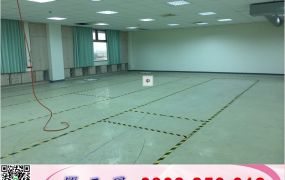 平鎮氣派高獨棟科技廠房/工業地廠房買賣租賃