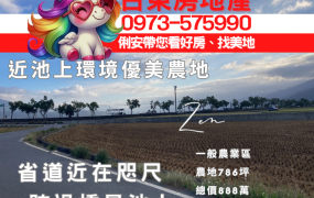 台東房地產 / 近池上環境優美農地