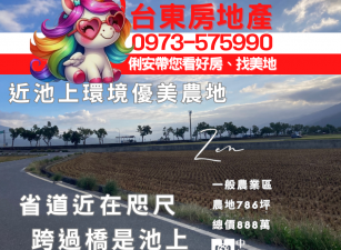 台東房地產 / 近池上環境優美農地