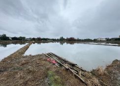 永慶許書豪★三星聖母護專旁足坪農地