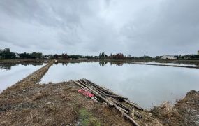 永慶許書豪★三星聖母護專旁足坪農地