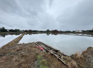永慶許書豪★三星聖母護專旁足坪農地