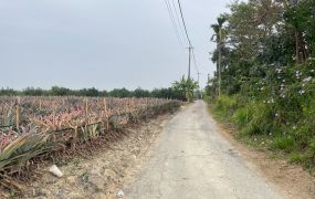 大林大埔美農地08-017