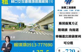 琪琪🐝推~近林口流道碼頭挑高廠房