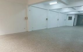 琪琪推~樹林近省道正路邊店面廠房