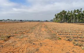 中正大學旁都計內小筆農地08-048