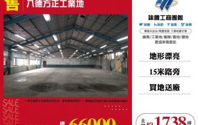 【售】八德方正工業地LT01494