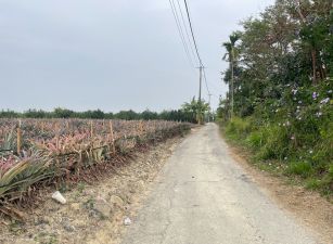 大林大埔美農地08-017