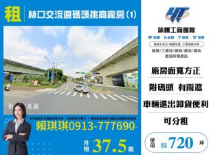 琪琪🐝推~近林口流道碼頭挑高廠房