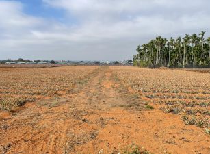 中正大學旁都計內小筆農地08-048